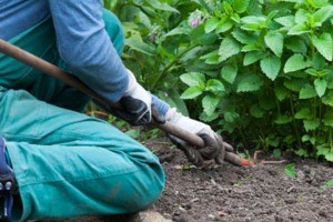 Gartenarbeiten und Objektbetreuung Dienstleistungen der Jugendhilfe Köln